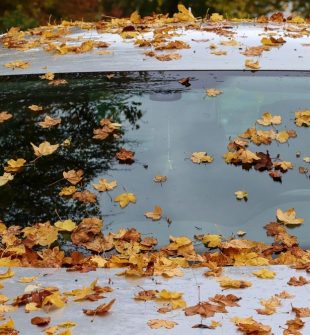 Bilglass i tromsø  trygg sikt i røffe nordnorske forhold