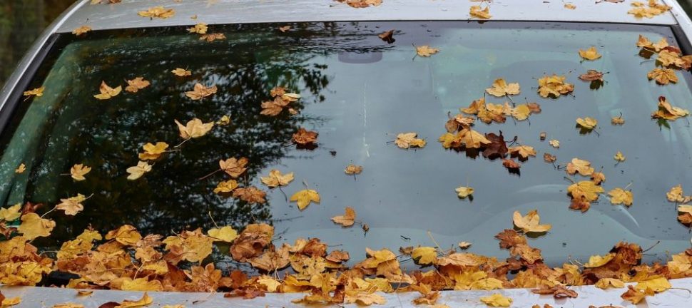 Bilglass i tromsø  trygg sikt i røffe nordnorske forhold